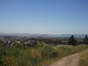 View of San Fran Bay Area